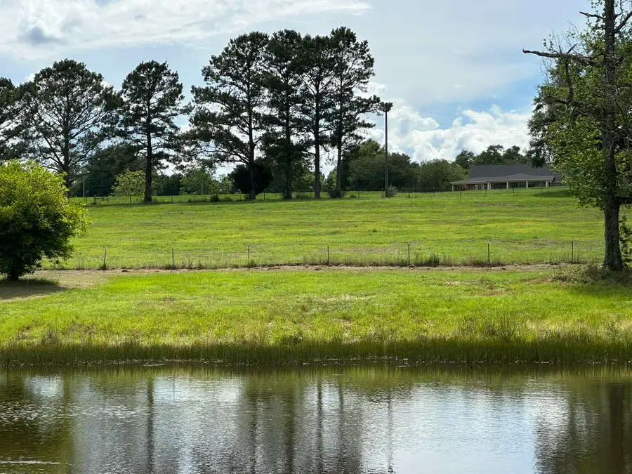 Parcel H County Road 20 / New Ebenezer Road, Florala, AL 36442 - #3