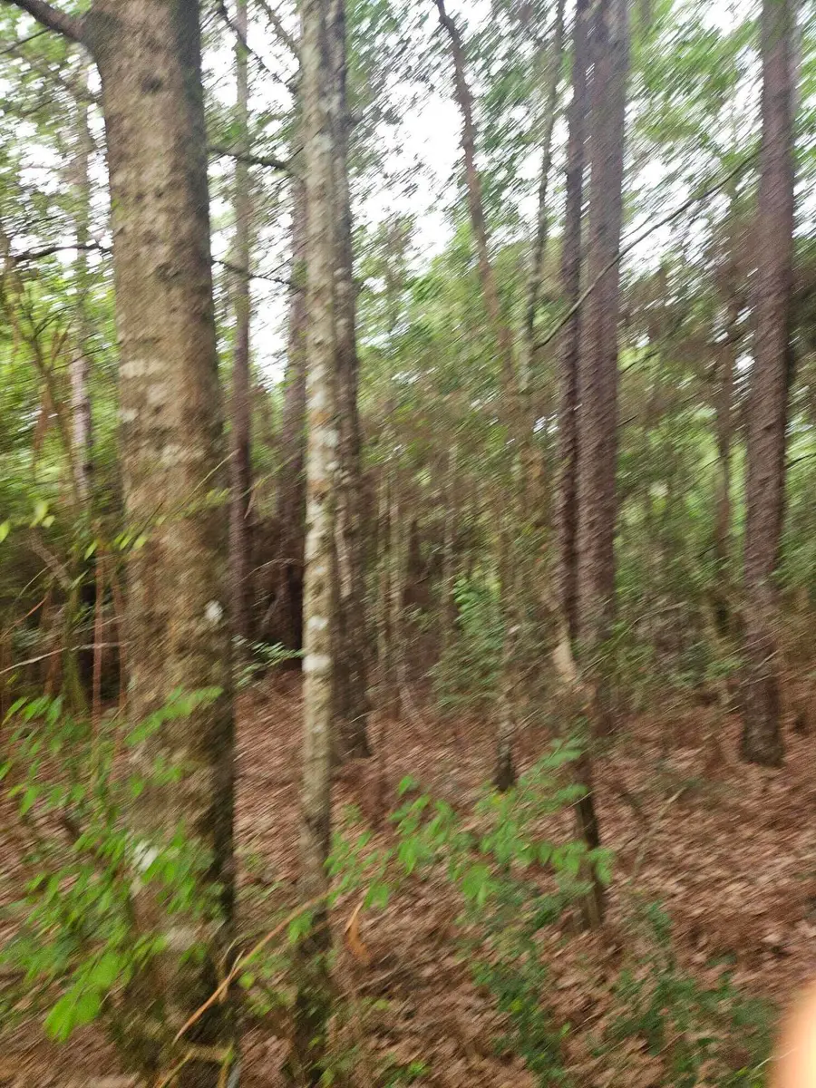 1.12 Acres Possum Ridge Road, Crestview, FL 32539 - #2
