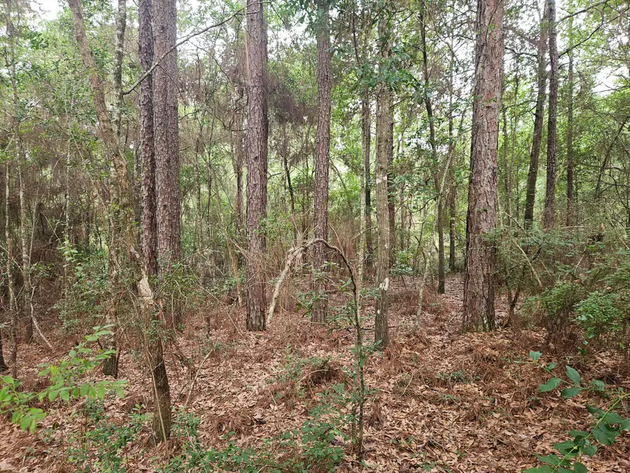 1.12 Acres Possum Ridge Road, Crestview, FL 32539 - #3