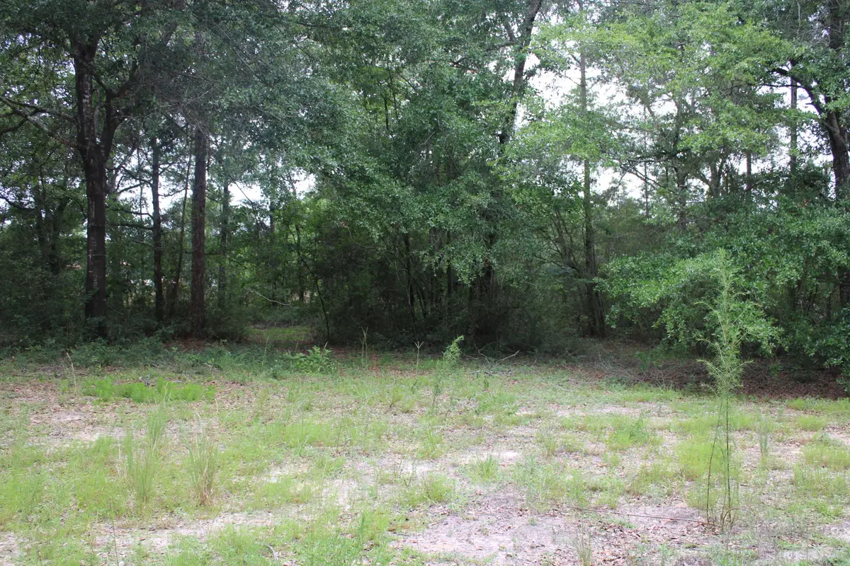 TBD Simpson, Defuniak Springs, FL 32433 - #1