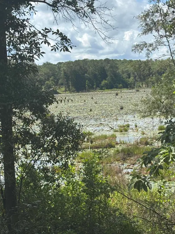 Lot 43 Seacoast Way, DeFuniak Springs, FL 32433