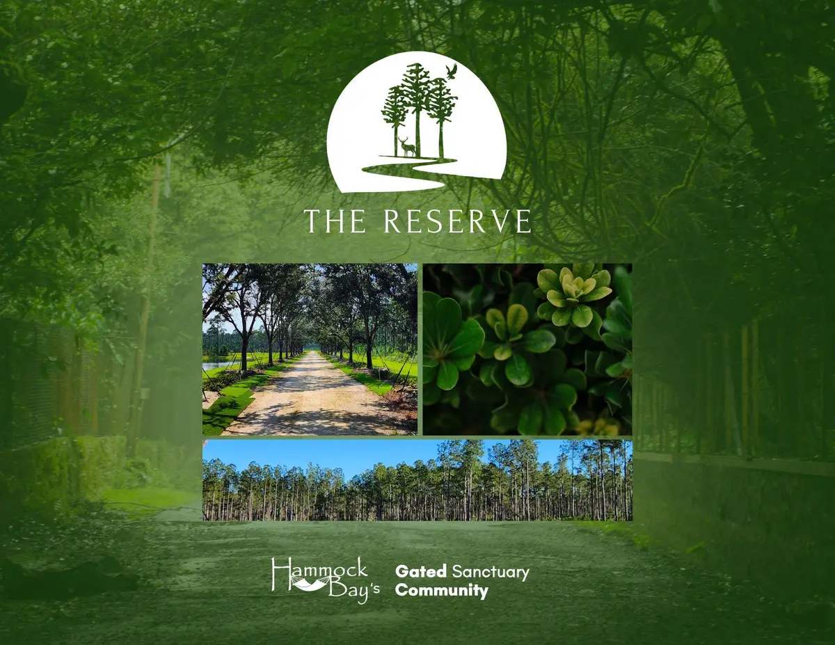 Lot 7 Reserve At Hammock Bay, Freeport, FL 32439 - #1