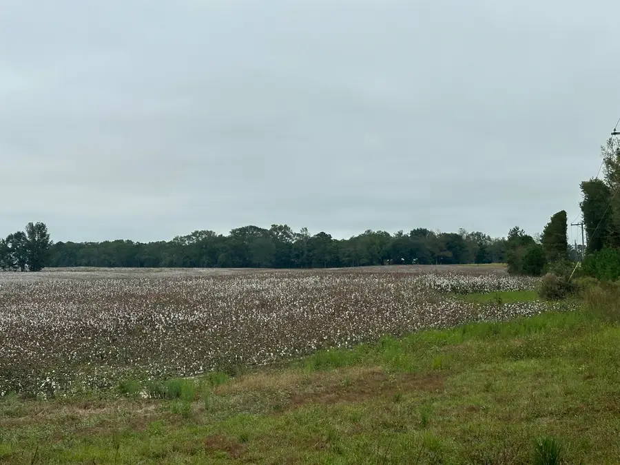 B, D1 & D2 Millside Road, Laurel Hill, FL 32567 - #3