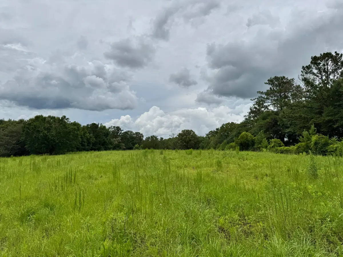 15 acres M & K Ln, Florala, AL 36442 - #1