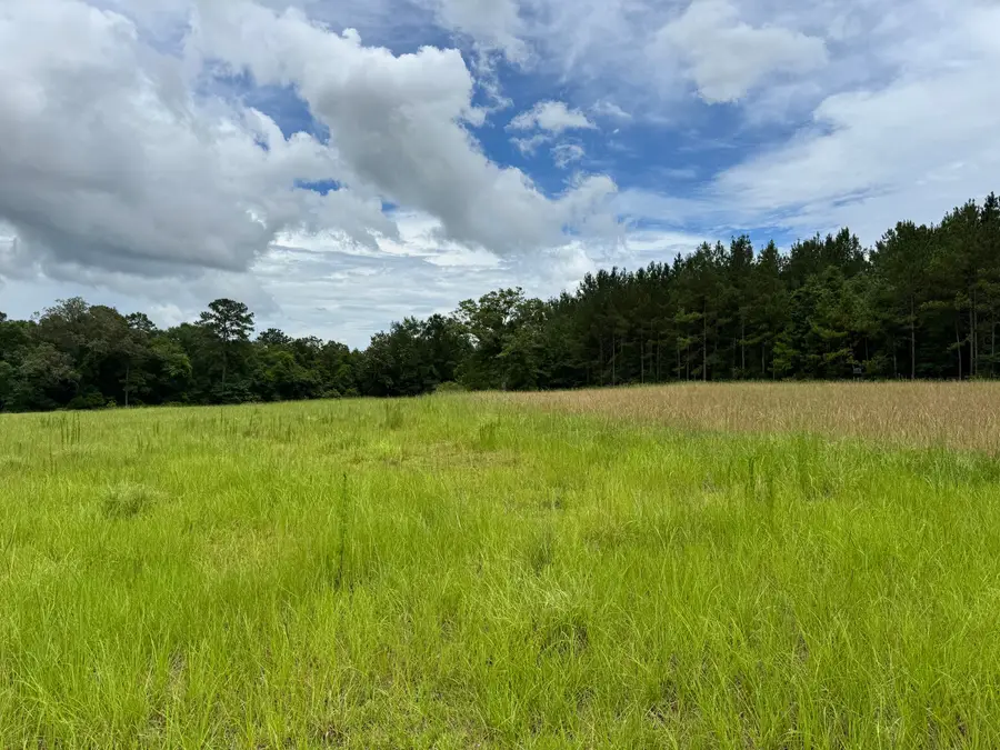 5901 M & K Lane, Florala, AL 36442 - #2