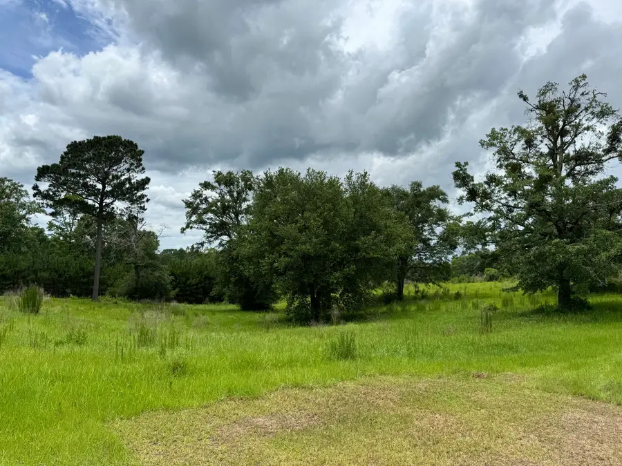 5901 M & K Lane, Florala, AL 36442 - #3