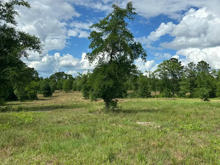 Parcel A County Road 20/new Ebenzer Road, Florala, AL 36442 - #2