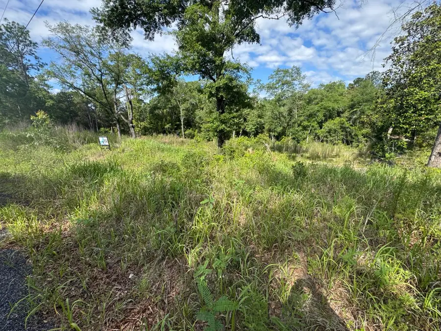 1.94 acres Lakewood Drive, Defuniak Springs, FL 32435 - #3