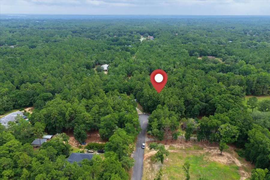 6315 Pheasant Lane, Perdido Key, FL 32507 - #2