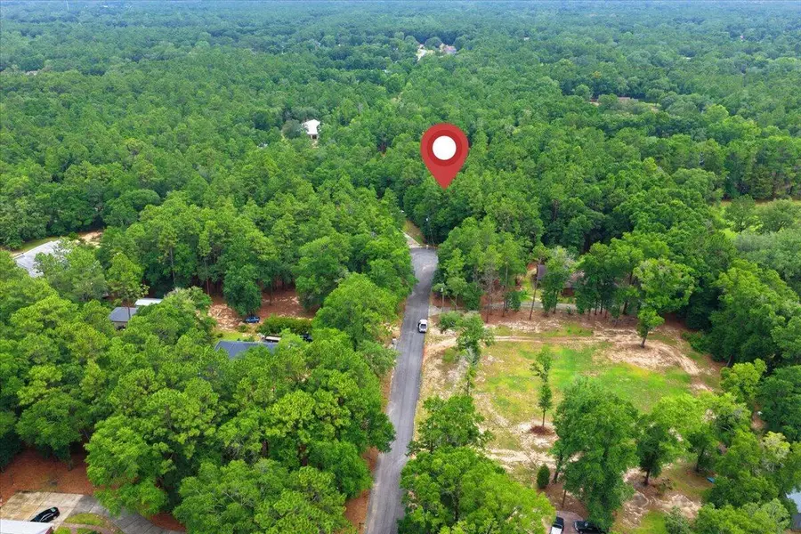 6315 Pheasant Lane, Perdido Key, FL 32507 - #3