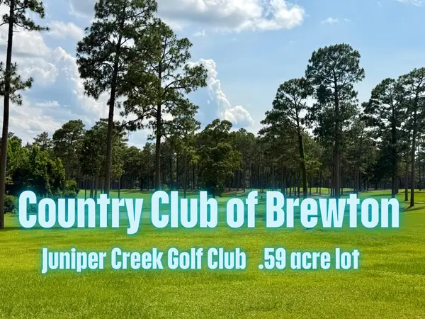 41 Juniper Creek Drive, Other, AL 00N/A