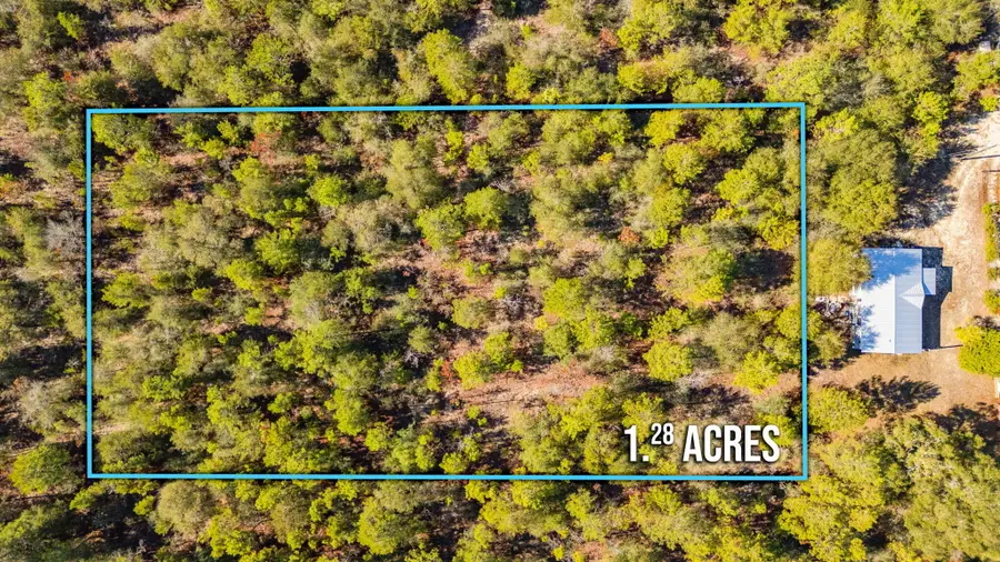 XX Jim Cotton Drive, Defuniak Springs, FL 32433 - #2