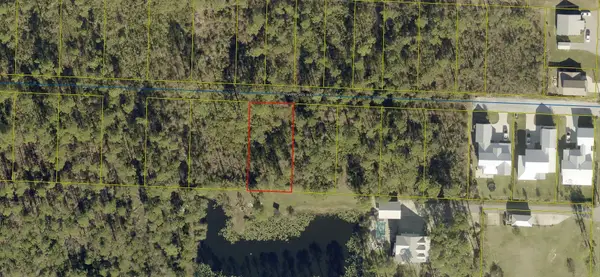 .25 Lot Narrows Way, Santa Rosa Beach, FL 32459
