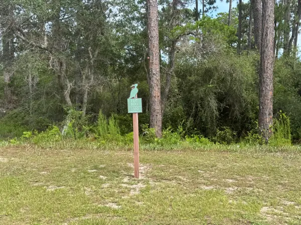 1530 Sharks Tooth Trail, Panama City Beach, FL 32413