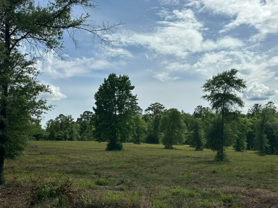 B & D County Road 20 / New Ebenezer Road, Florala, AL 36442 - #3