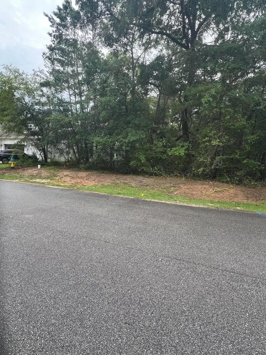 Lot 72 S J Hunter S Way, Freeport, FL 32439 - #2