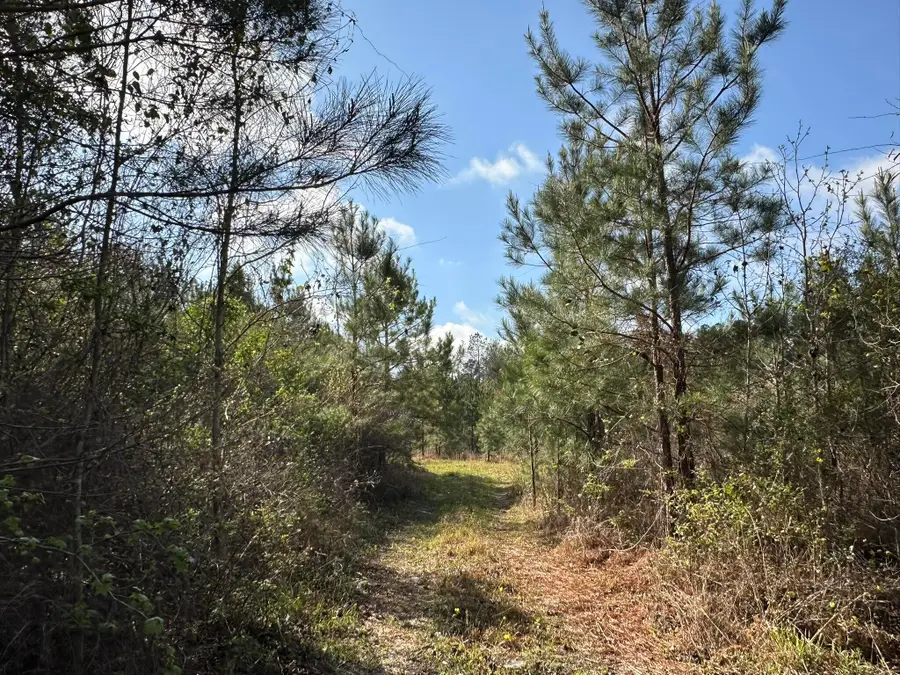 7+/- AC Snider Avenue, Other, AL 00N/A - #2