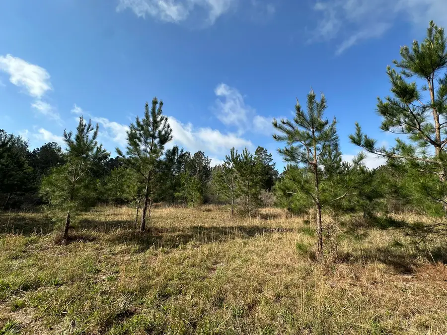 7+/- AC Snider Avenue, Other, AL 00N/A - #3
