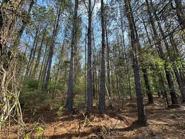 .83+/- ac Lett Road, Other, AL 00N/A