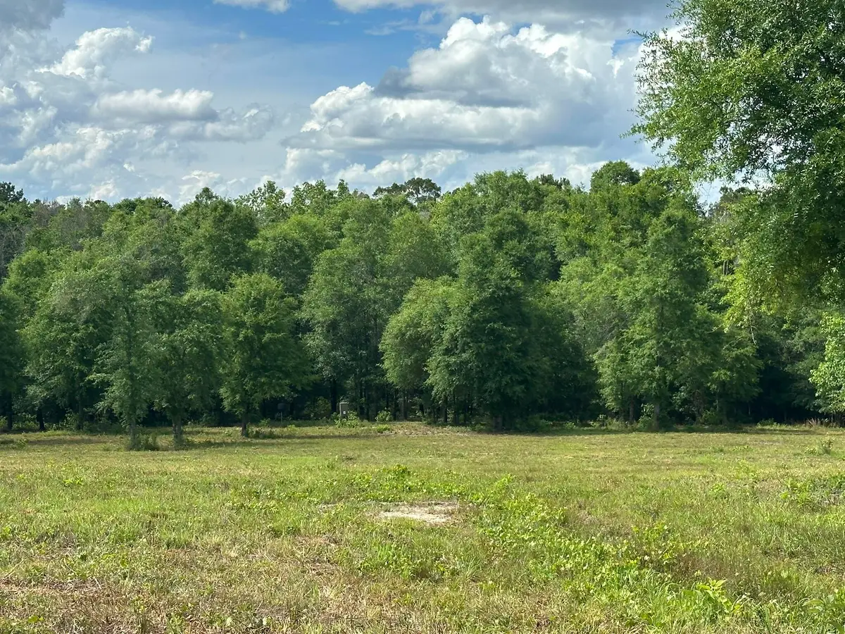 West 58 AC County Road 20/new Ebenezer Road, Florala, AL 36442 - #1
