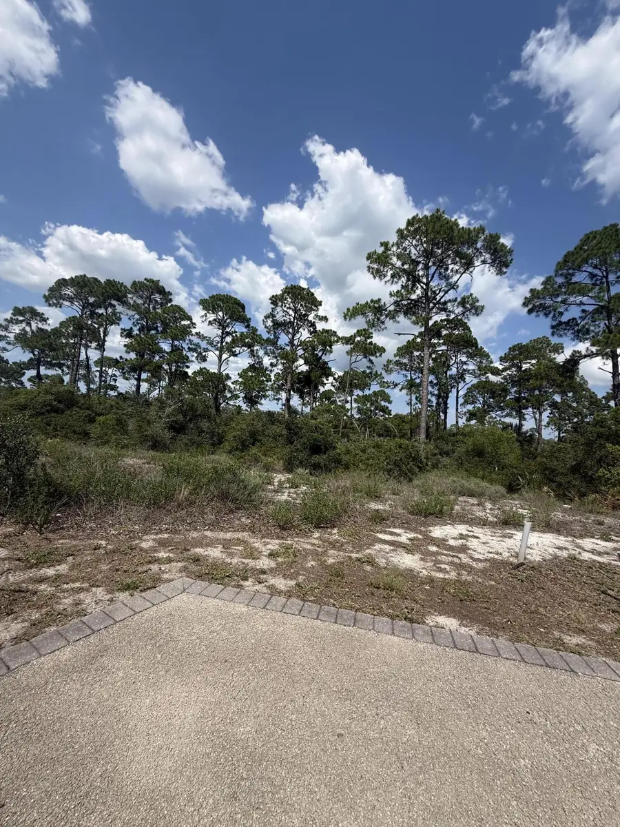 504 Tide Water Drive, Port Saint Joe, FL 32456 - #3