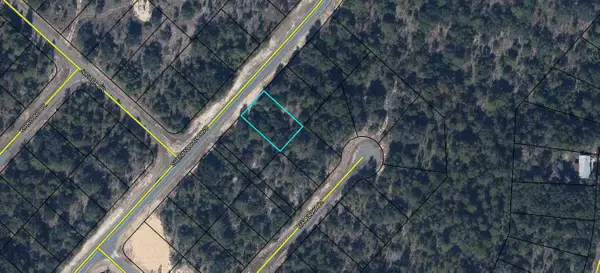 Lot 53 Shenandoah Boulevard, Chipley, FL 32428