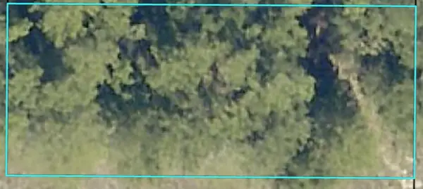 TBD Kervin Road, Crestview, FL 32539