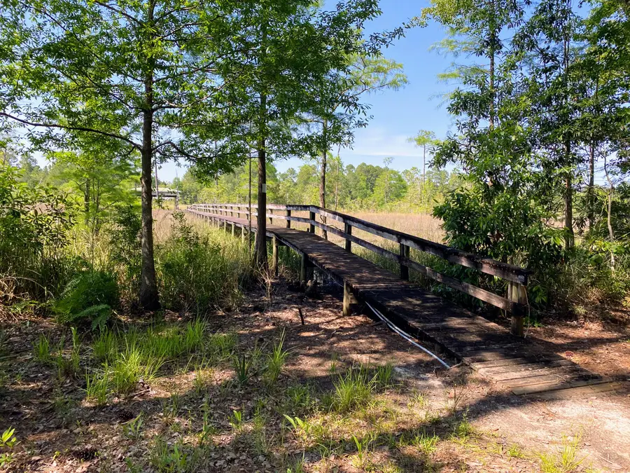 XXX Corral Road, Milton, FL 32583 - #2