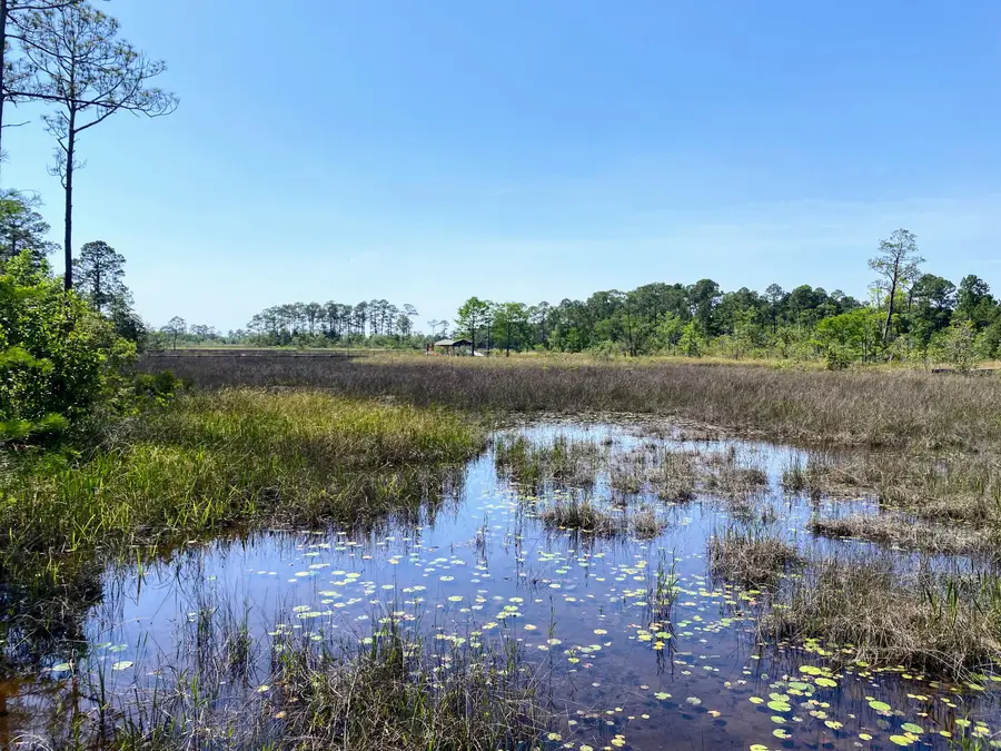 XXX Corral Road, Milton, FL 32583 - #3