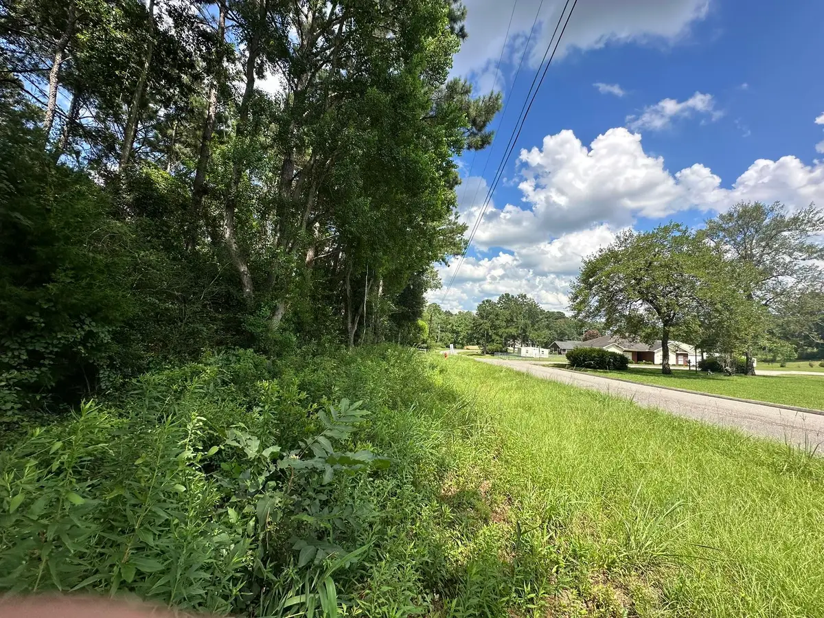 B2 Duval Drive, Opp, AL 00N/A - #1