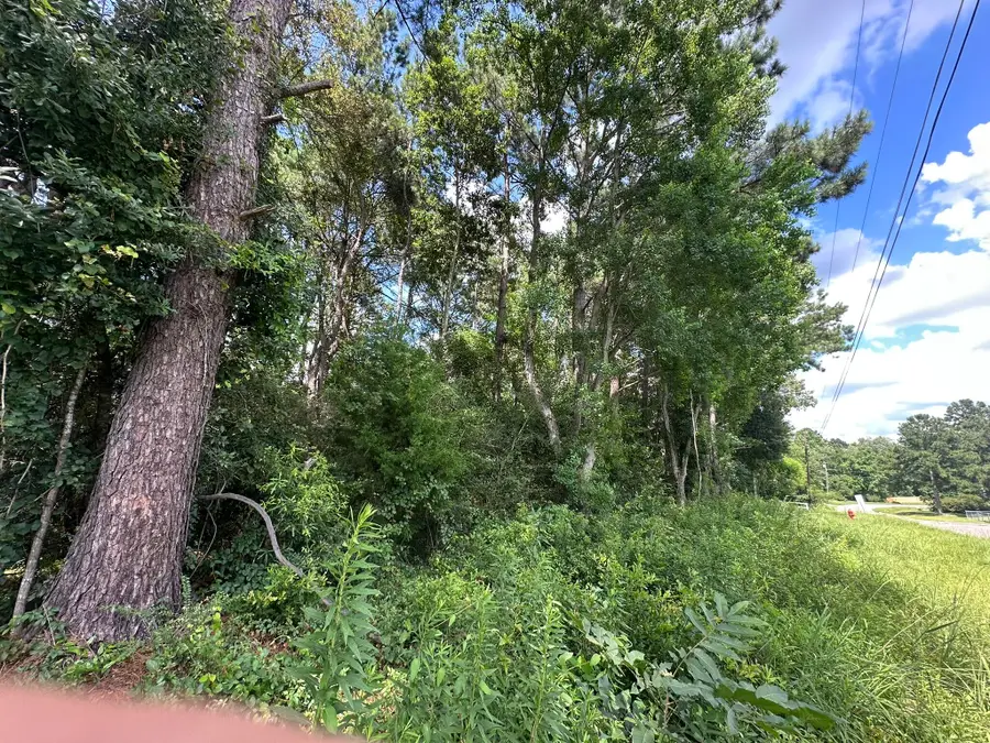 B2 Duval Drive, Opp, AL 00N/A - #3