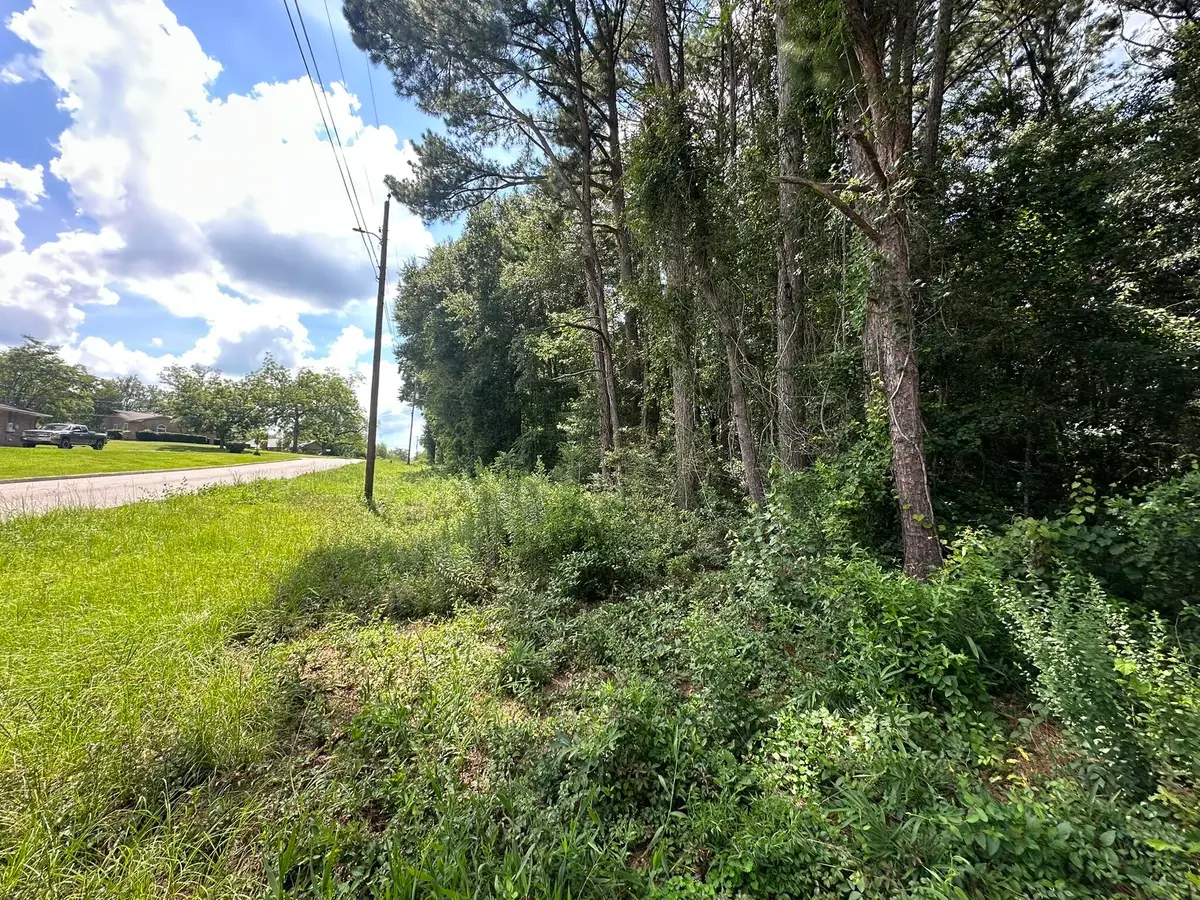 B3 Duval Drive, Opp, AL 00N/A - #1