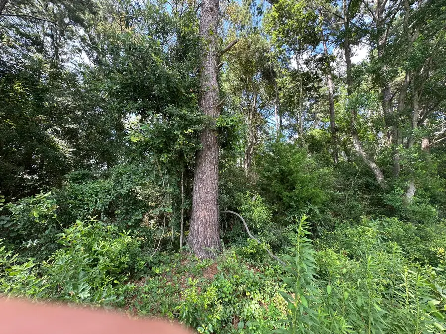 B3 Duval Drive, Opp, AL 00N/A - #3