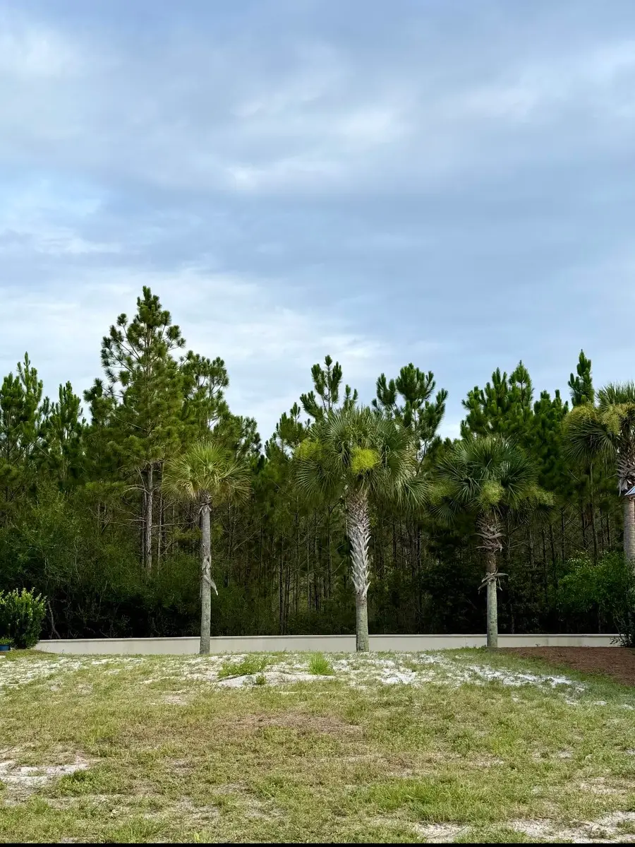 151 Cypress Psge #Lot 11B, Santa Rosa Beach, FL 32459 - #2