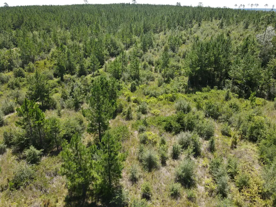 A-12 Silas Drive, Milton, FL 32570 - #3
