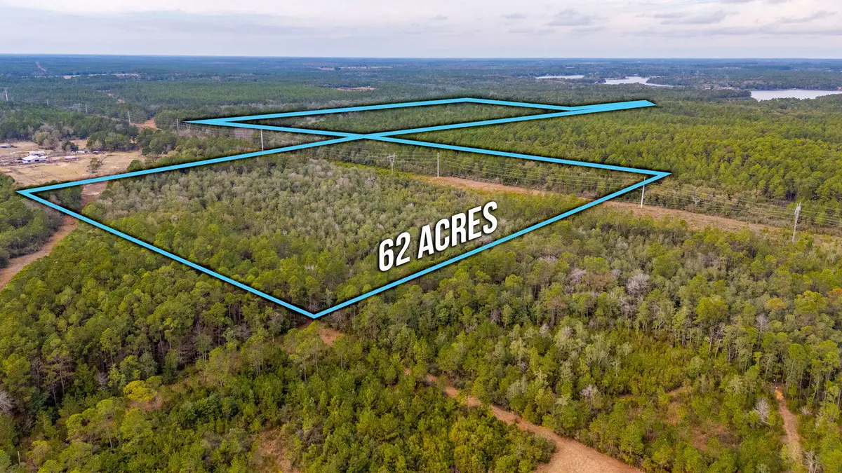 62 Acres Maes Lane, Defuniak Springs, FL 32433 - #1