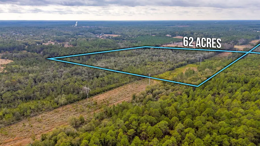 62 Acres Maes Lane, Defuniak Springs, FL 32433 - #3