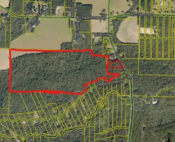 168 Acres Co Hwy 1087 #168 Acres, Defuniak Springs, FL 32433 - #2
