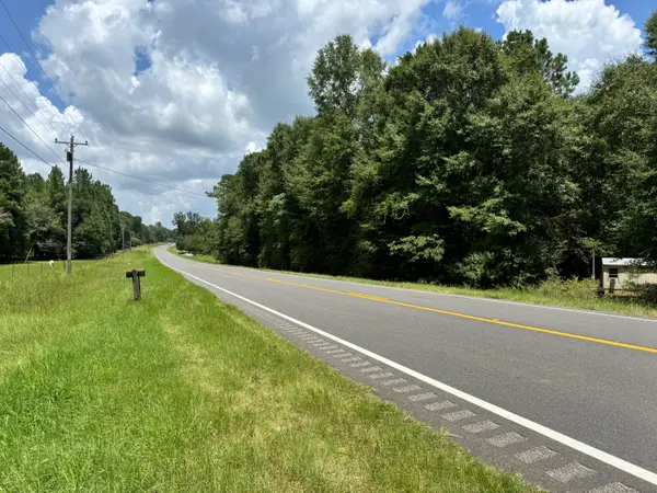 8 acres Al Hwy 87, Other, AL 00N/A
