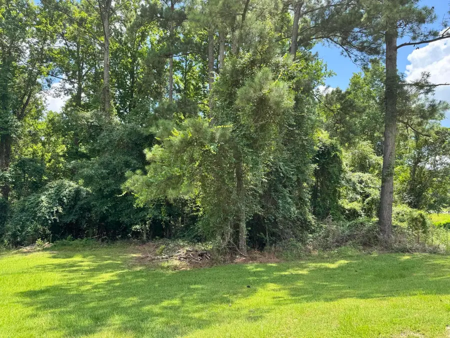 8 acres Al Hwy 87, Jack, AL 00N/A - #2