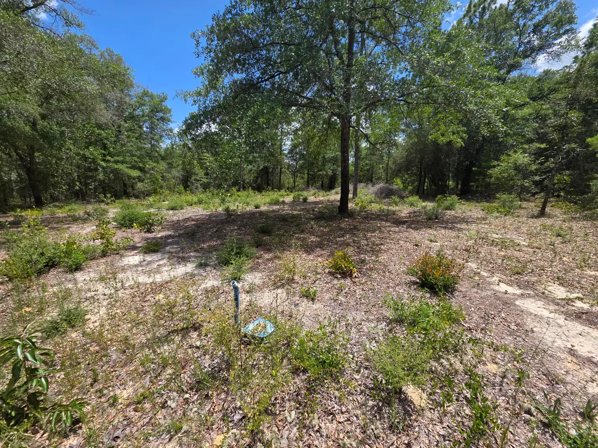 Lot 20 E Tulip East Avenue, Defuniak Springs, FL 32433 - #1