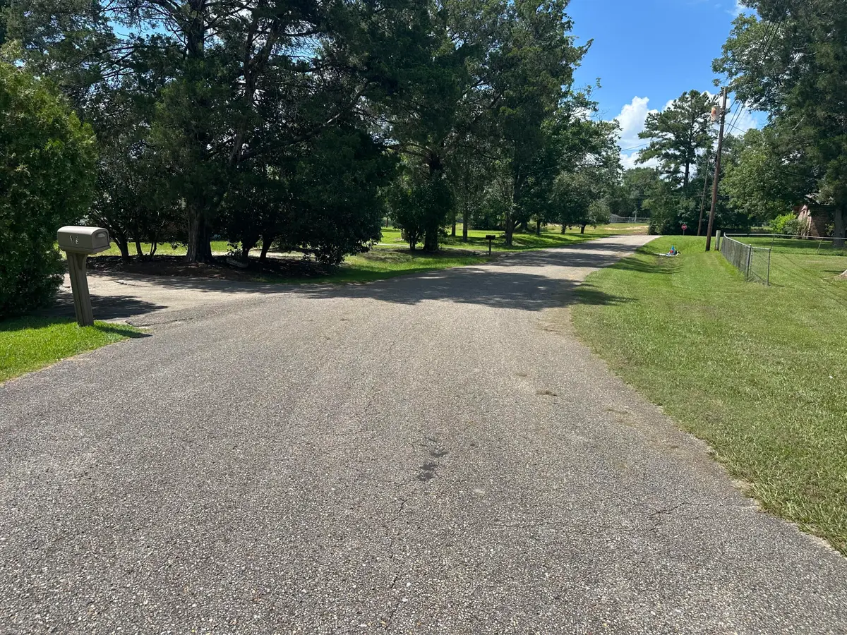 XXX Heimer Drive, Opp, AL 36467 - #1