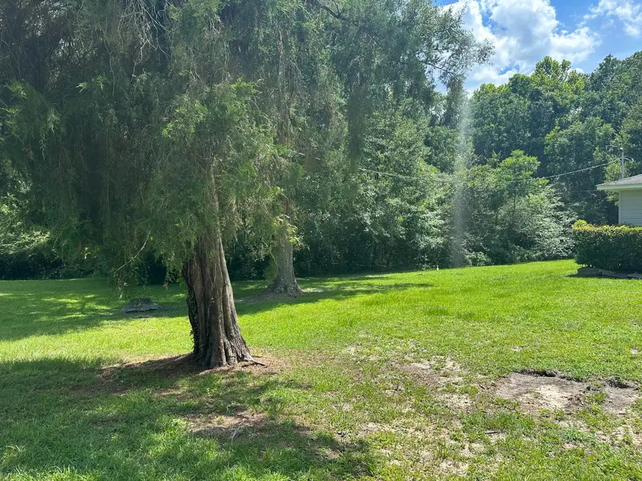 XXX Heimer Drive, Opp, AL 36467 - #2