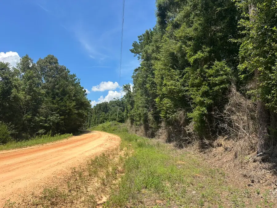 TBD Piney Grove Road, Opp, AL 36467 - #3