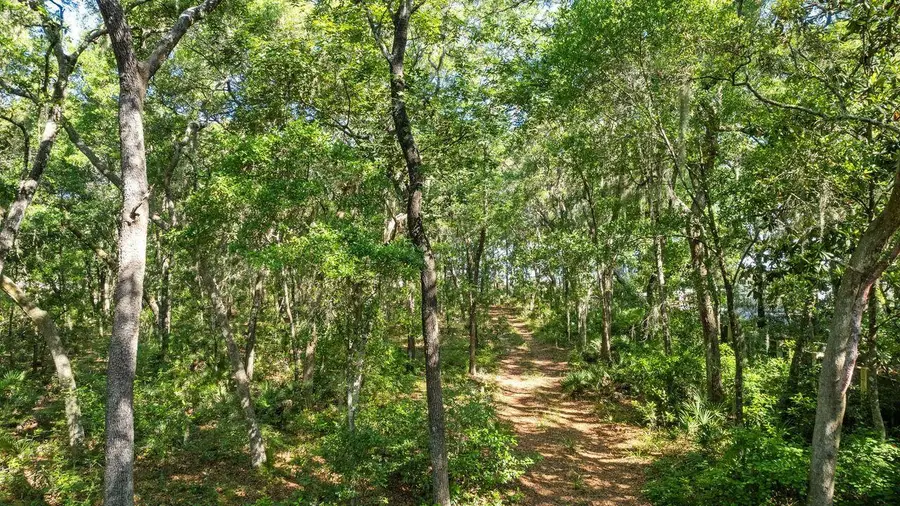 8 Ansley Forest Drive, Santa Rosa Beach, FL 32459 - #3