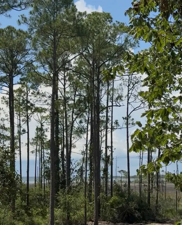 Lot 8 19th Street, Santa Rosa Beach, FL 32459