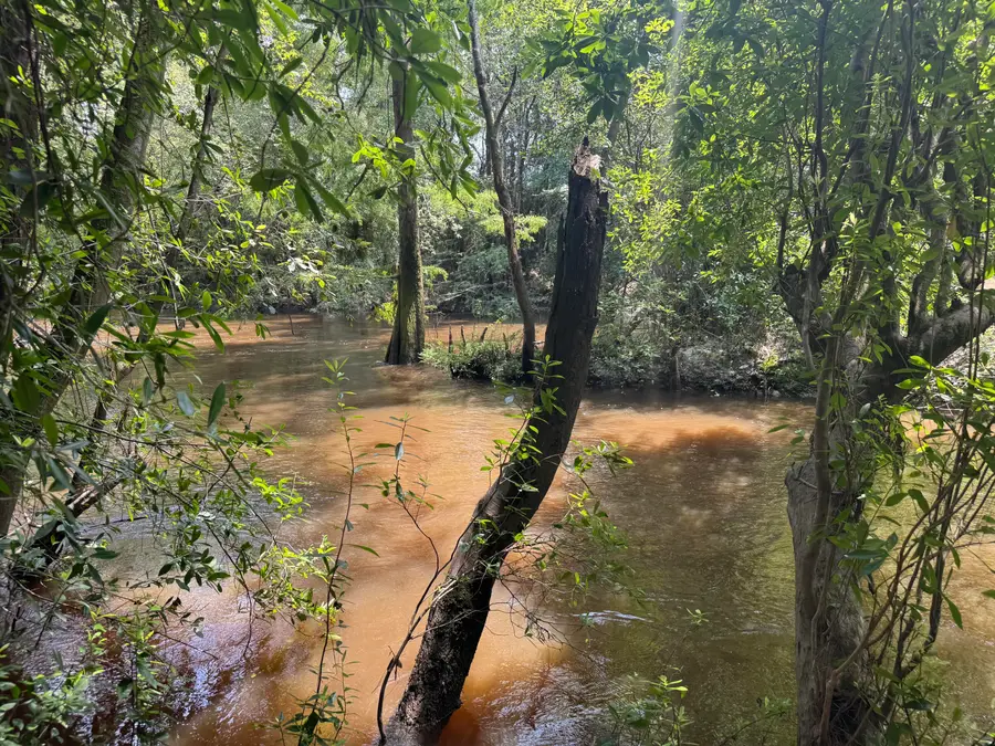 Lot 14 Plantation Lane, Defuniak Springs, FL 32433 - #2