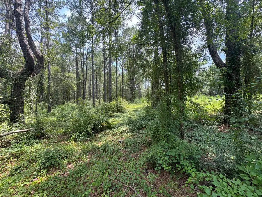 Lot 14 Plantation Lane, Defuniak Springs, FL 32433 - #3