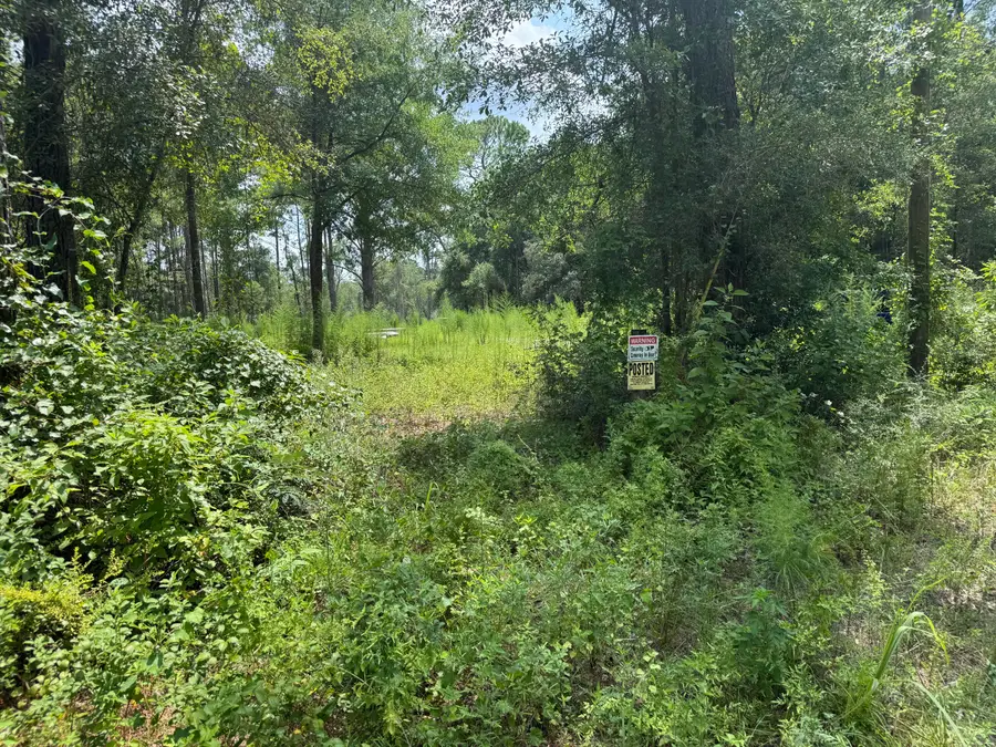 1015 Plantation Lane, Defuniak Springs, FL 32433 - #3
