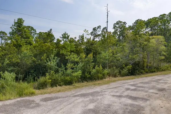 Lot 38 W Casa Grande Lane, Santa Rosa Beach, FL 32459